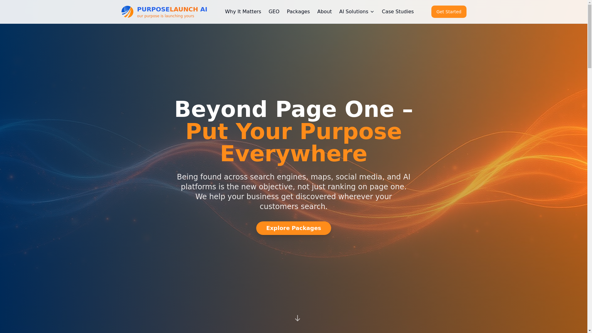 website screenshot of https://purposelaunch.org/