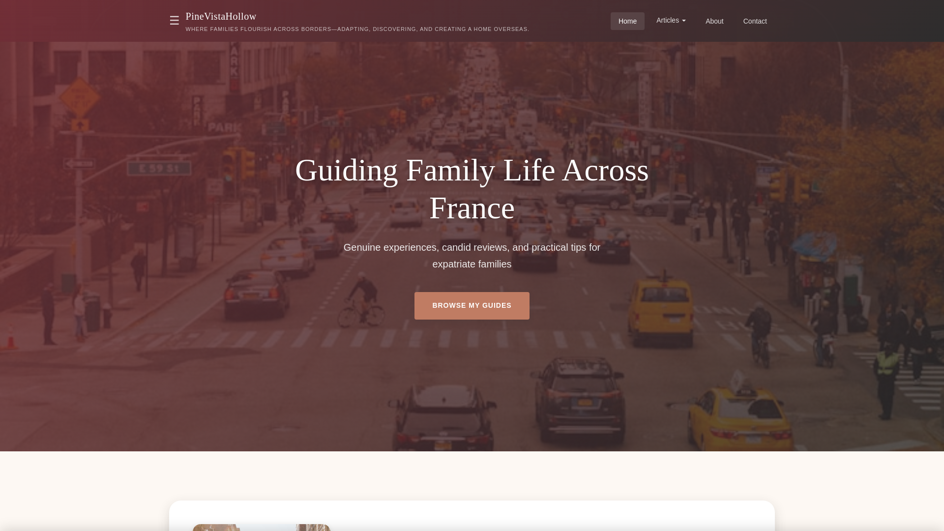 website screenshot of https://pinevistahollow.xyz