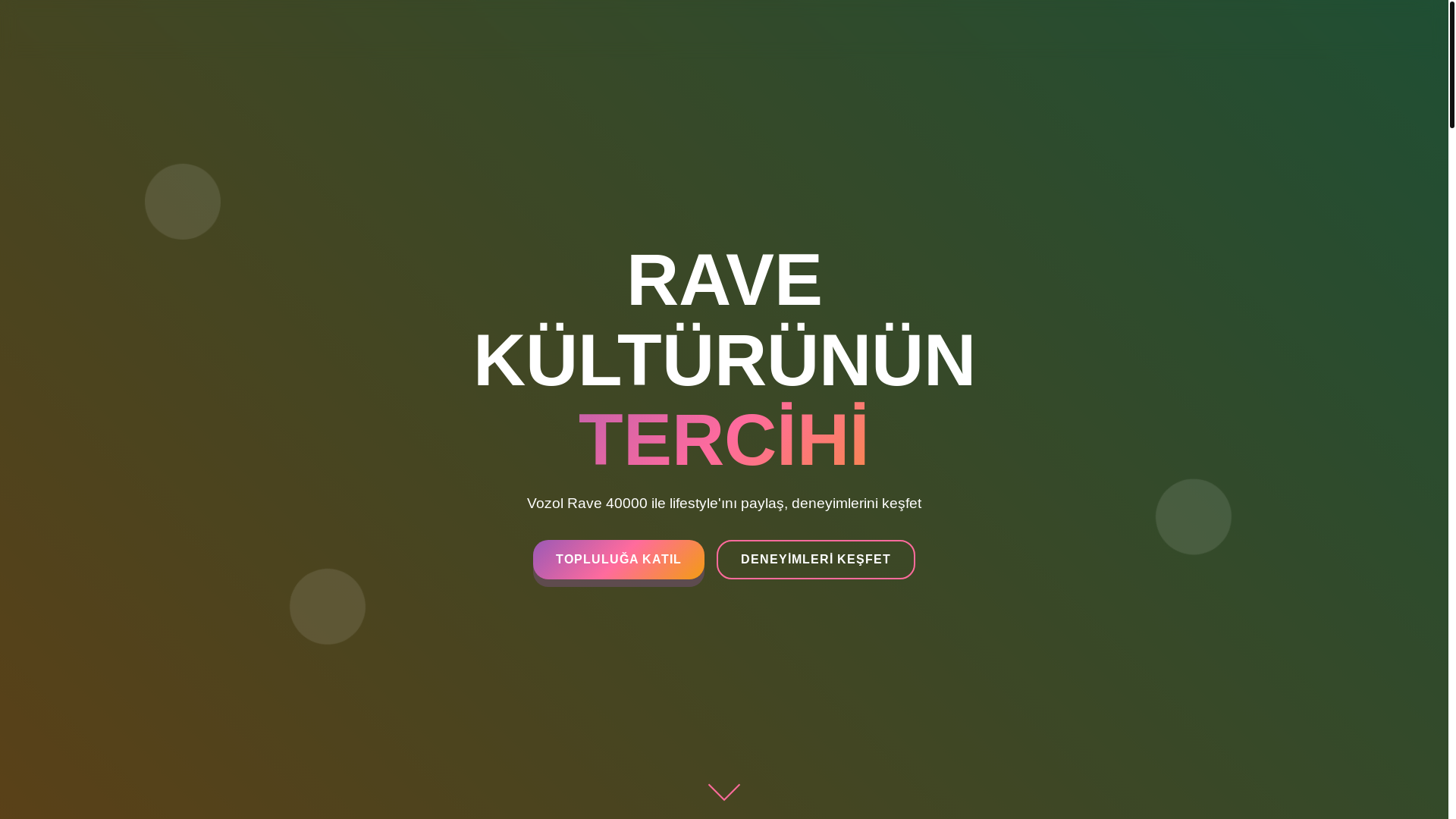 website screenshot of https://vozolrave40000.com.tr/