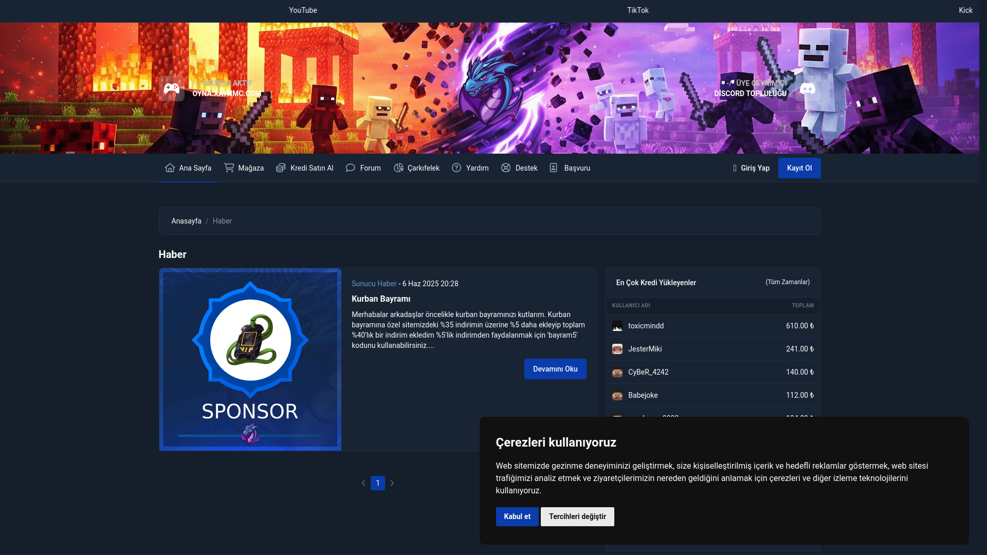 website screenshot of https://xaynmc.com/
