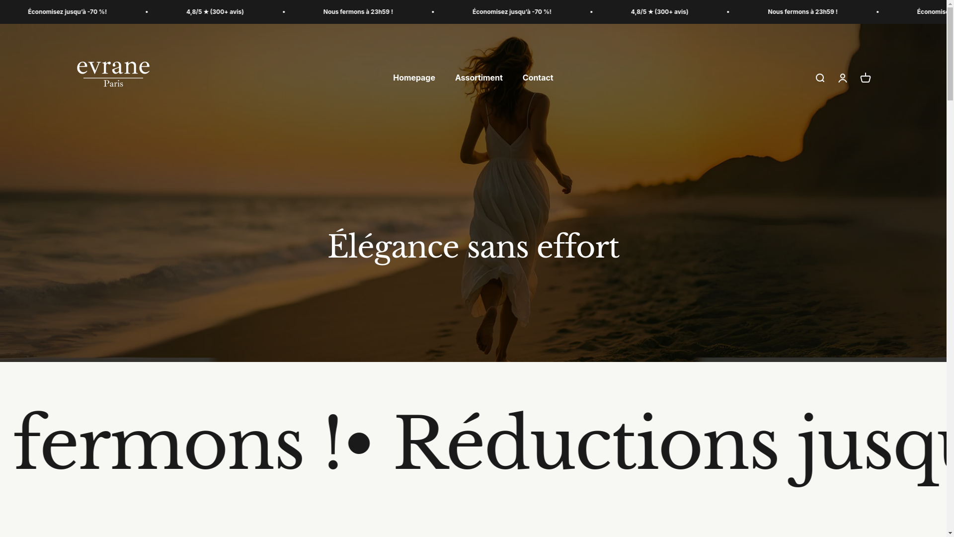website screenshot of https://evrane-paris.fr/