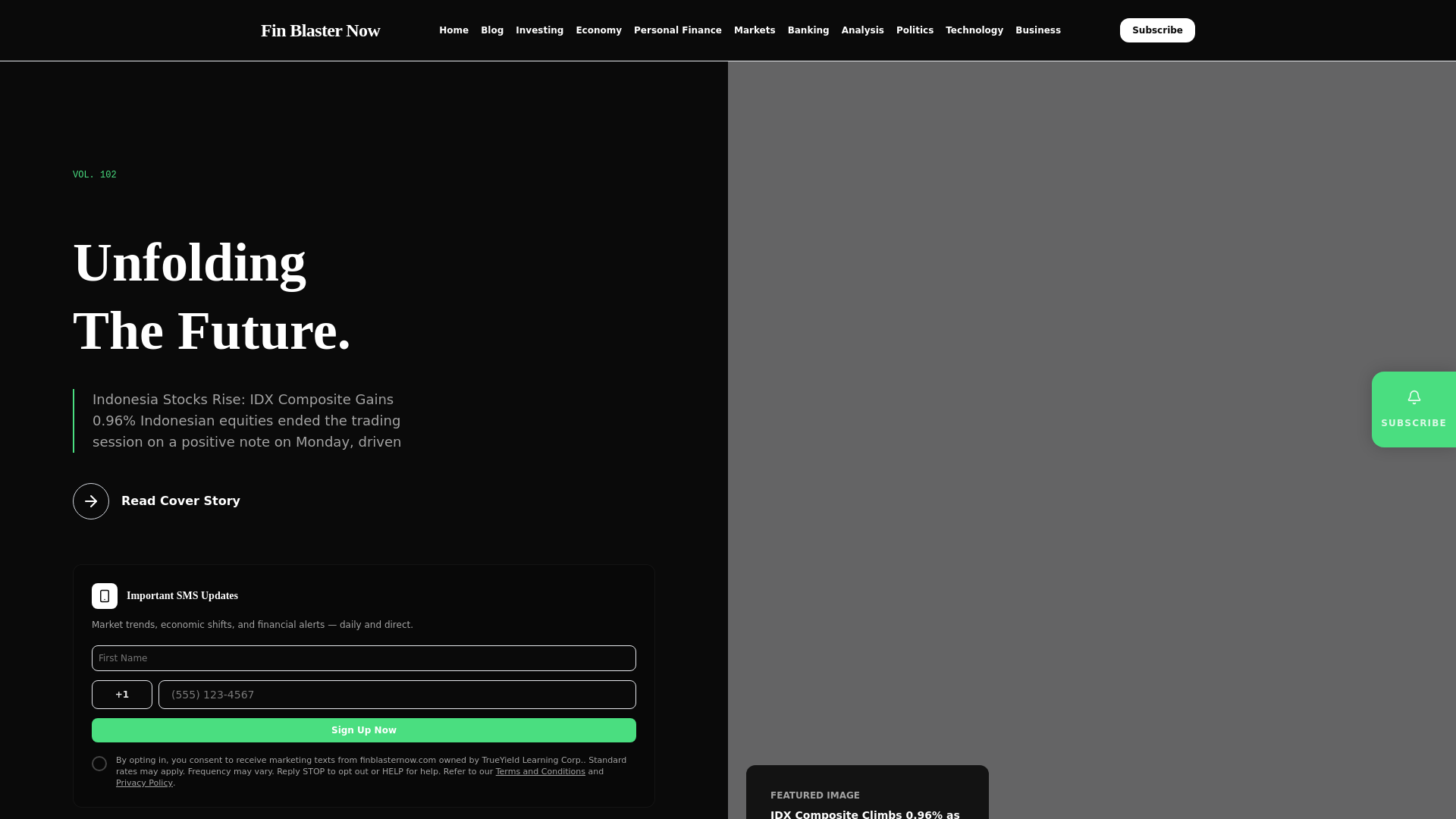 website screenshot of https://finblasternow.com/