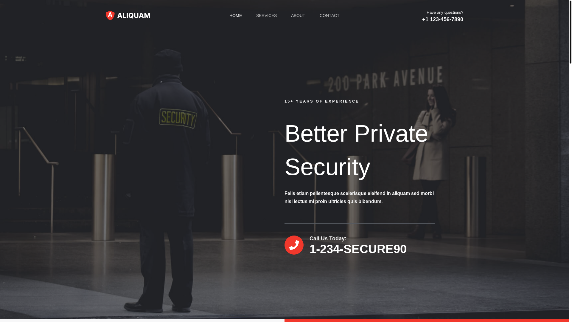 website screenshot of https://cedarsecurityvault.com/