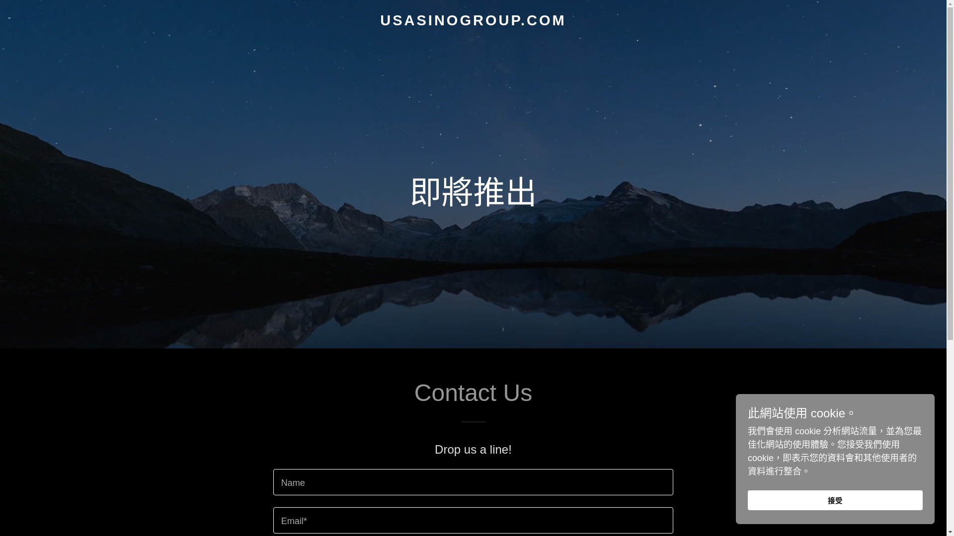 website screenshot of https://usasinogroup.com/
