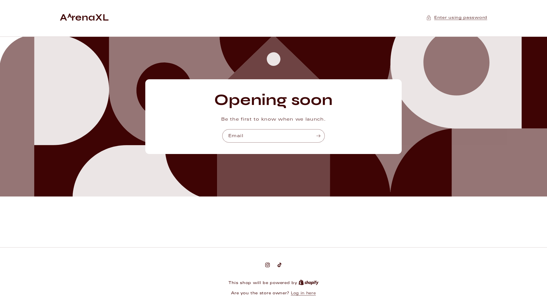 website screenshot of https://aarenaxl.com/