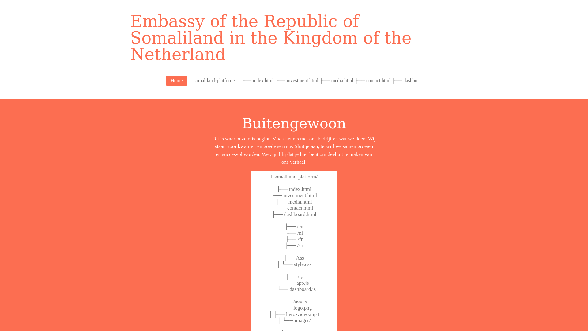 website screenshot of https://ambassy-of-the-republic-of-somaliland-in-the-netherland.com/