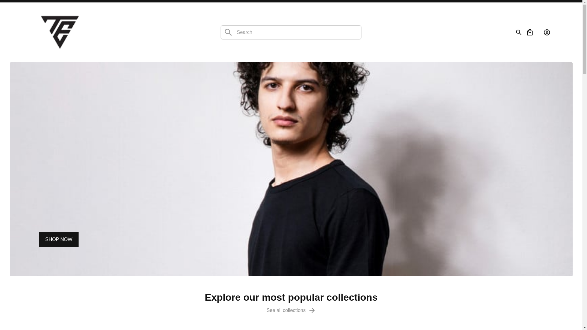 website screenshot of https://thomasprice.store/