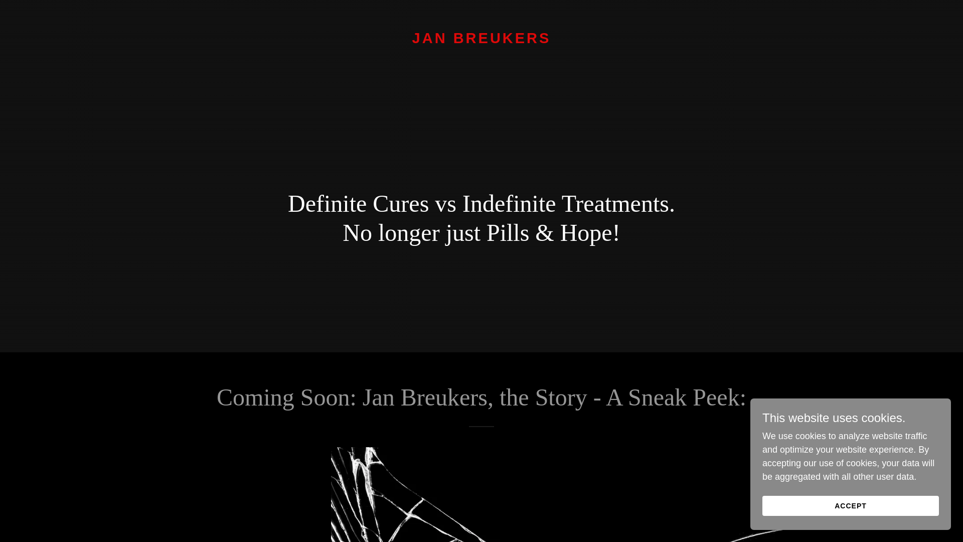 website screenshot of https://janbreukers.com/