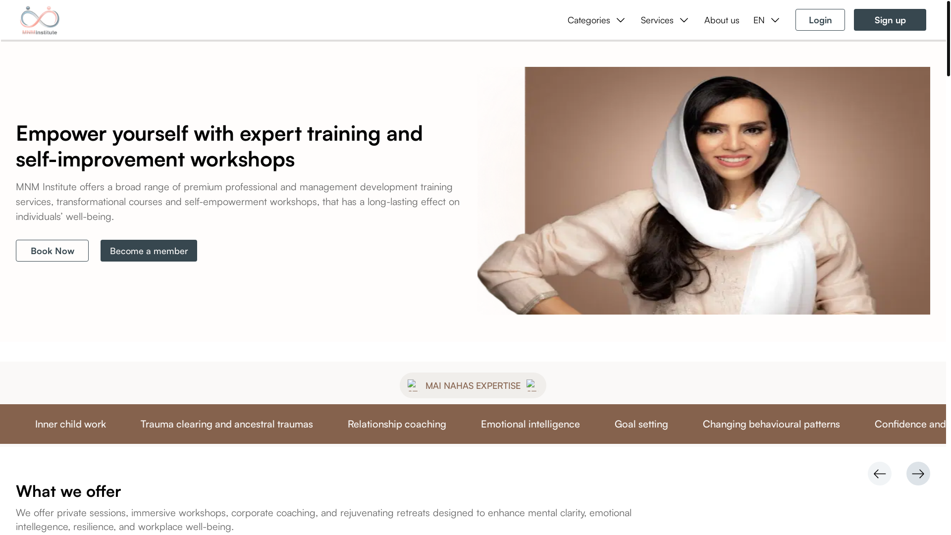 website screenshot of https://themnminstitute.ae/