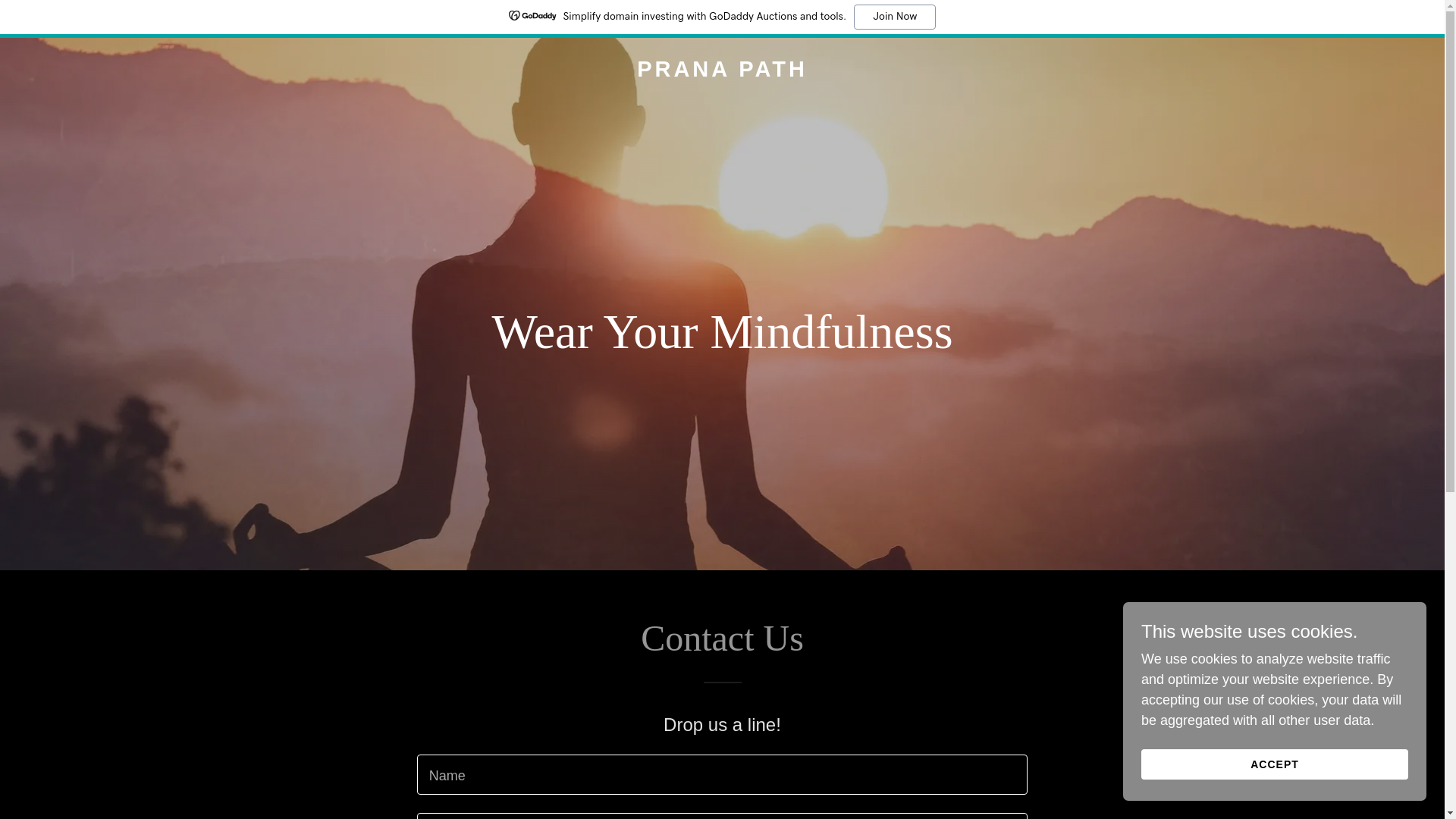 website screenshot of https://pranapath.shop/
