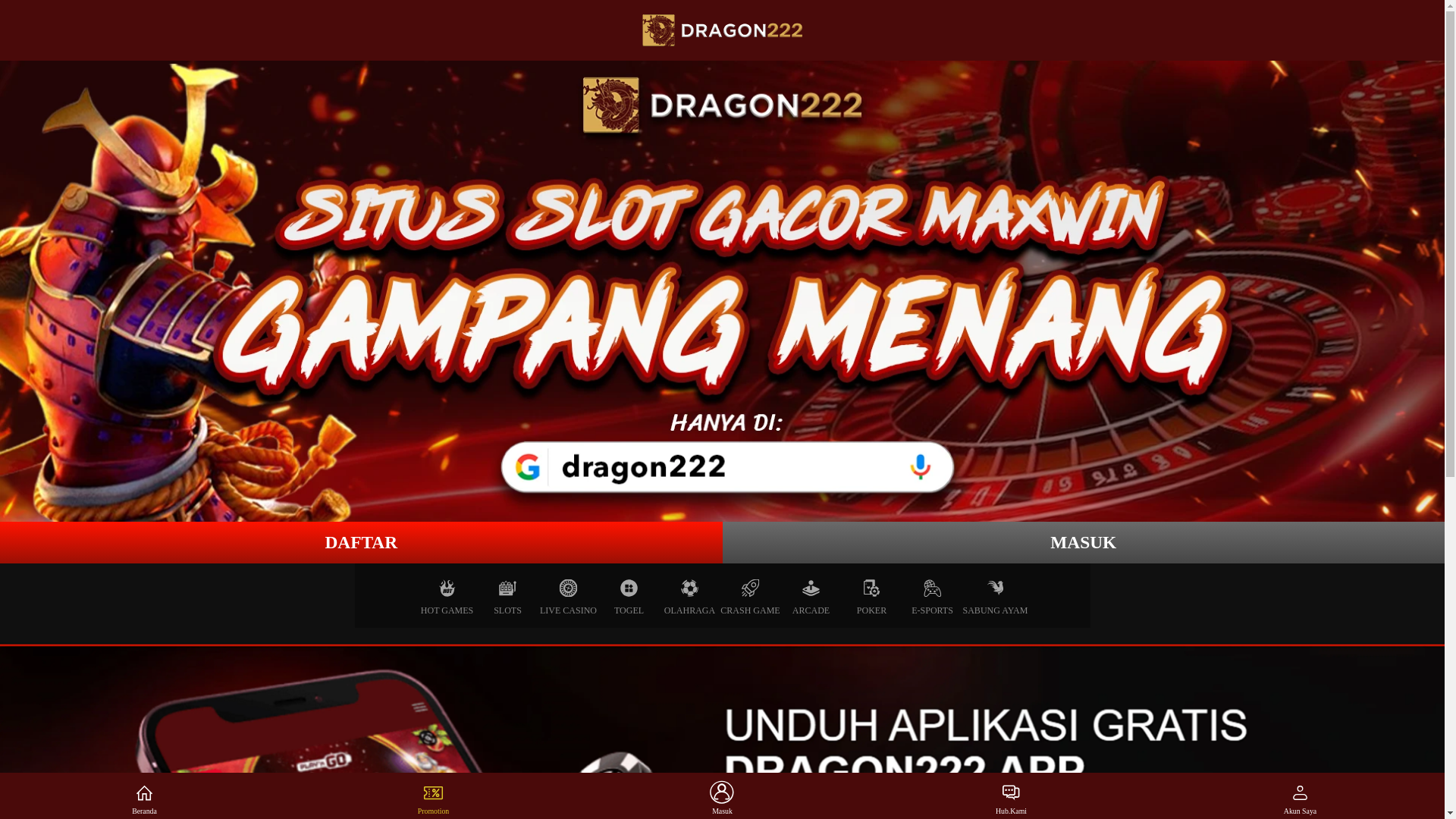 website screenshot of https://flyhigherdragon.pages.dev/