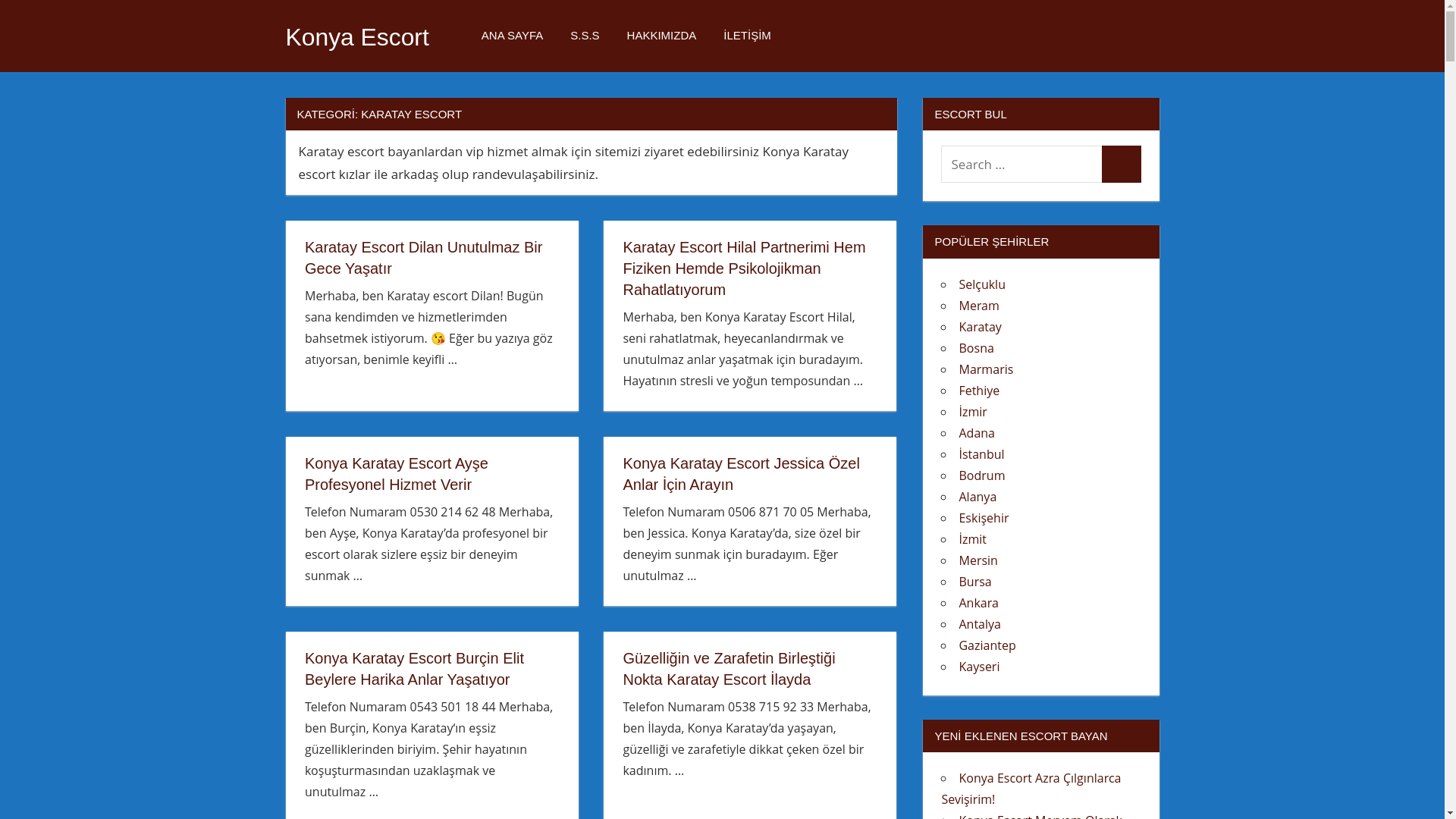 website screenshot of https://istanbulescortx4.shop/