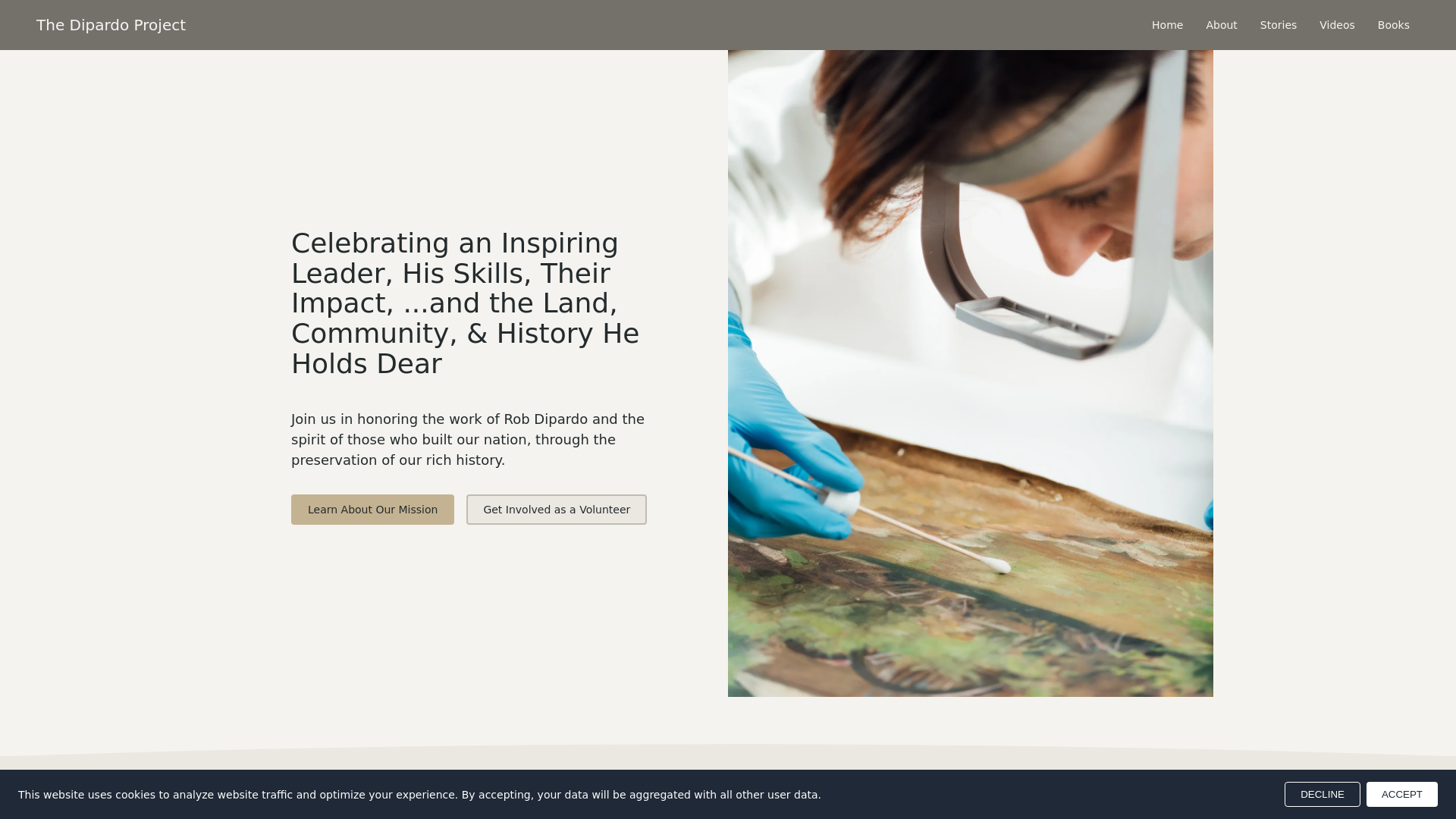website screenshot of https://the-dipardo-project.com
