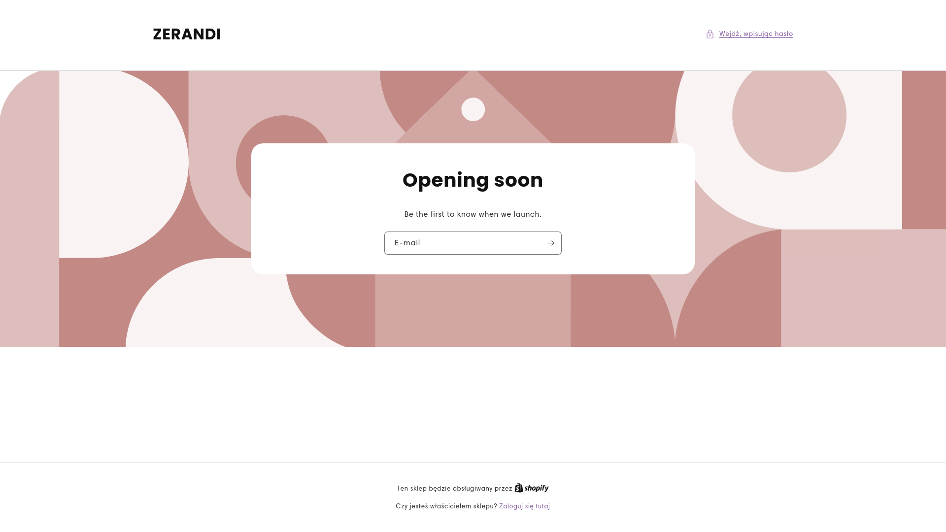 website screenshot of https://zerandi.pl/
