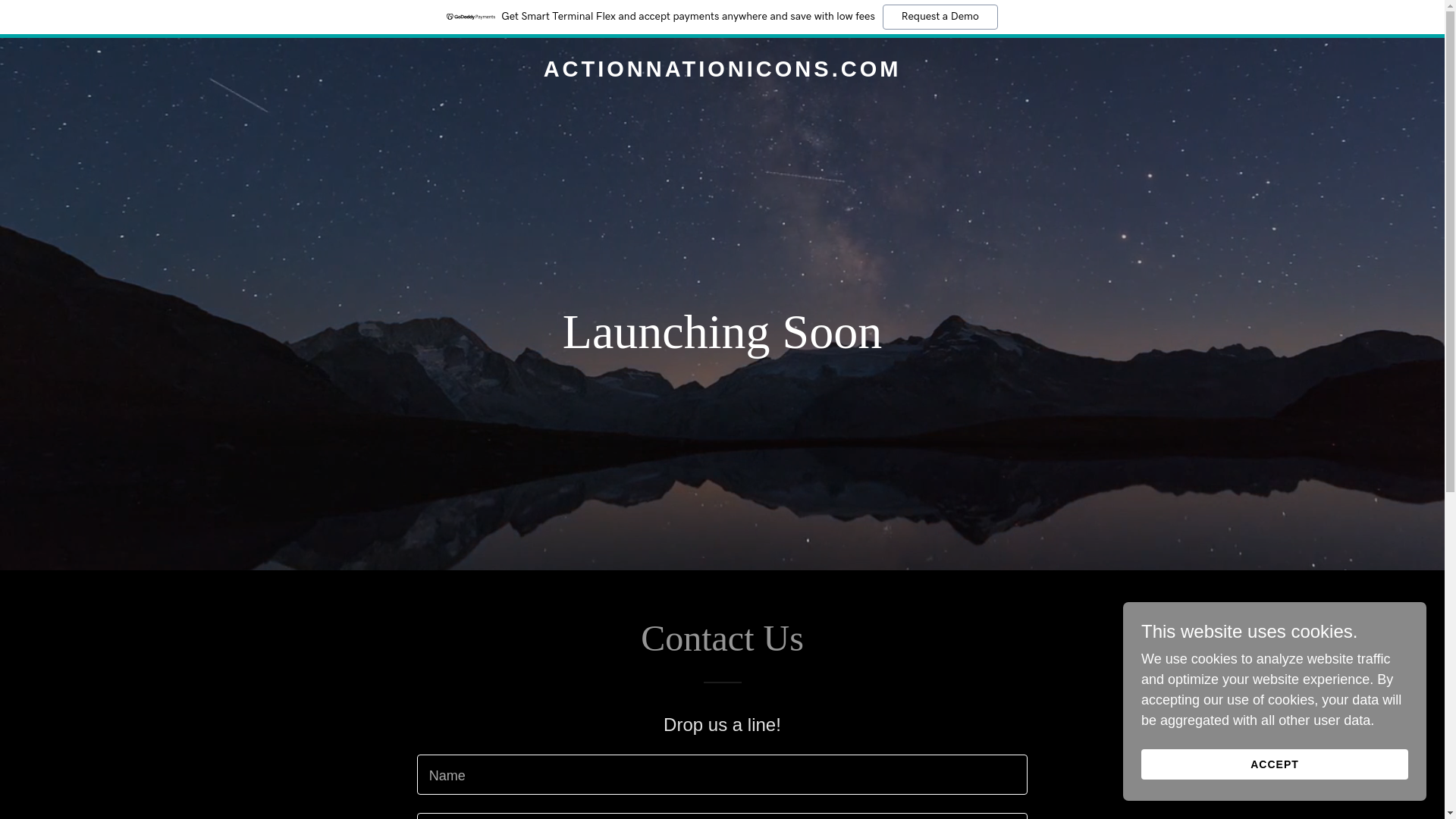 website screenshot of https://actionnationicons.com/