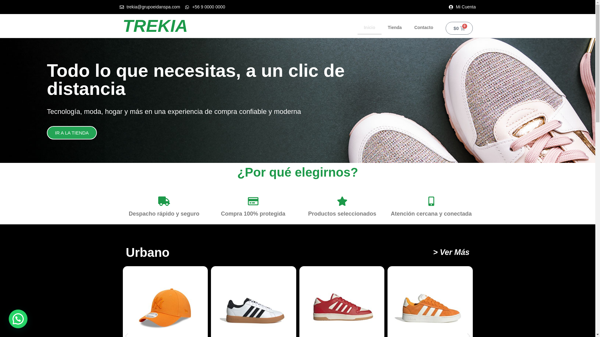 website screenshot of https://trekia.cl/