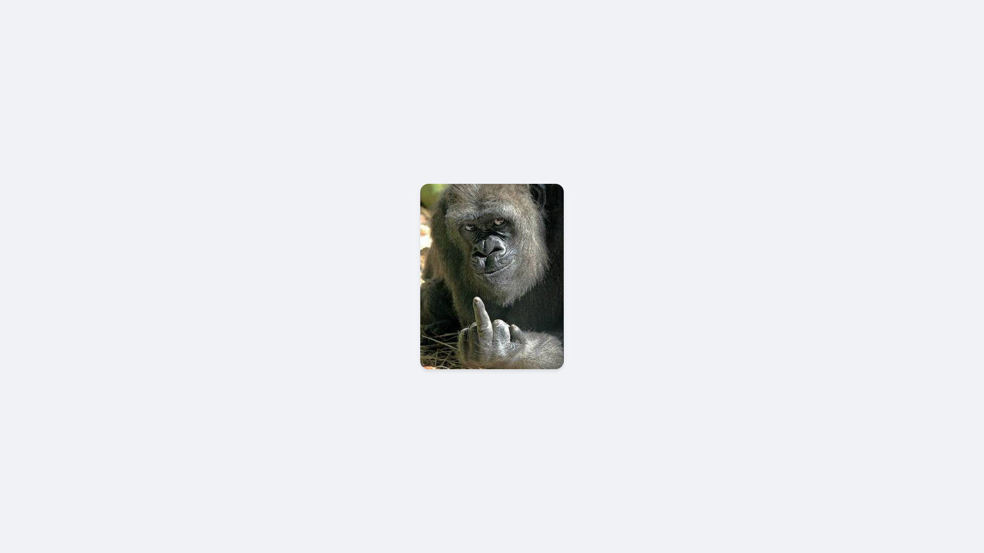 website screenshot of https://pooryou.pages.dev/