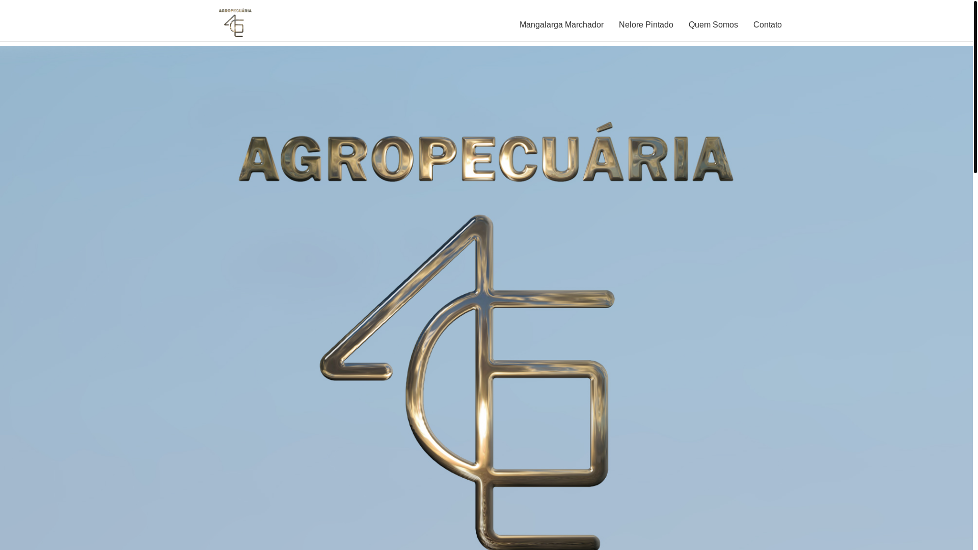 website screenshot of https://agropecuaria4lg.com.br/