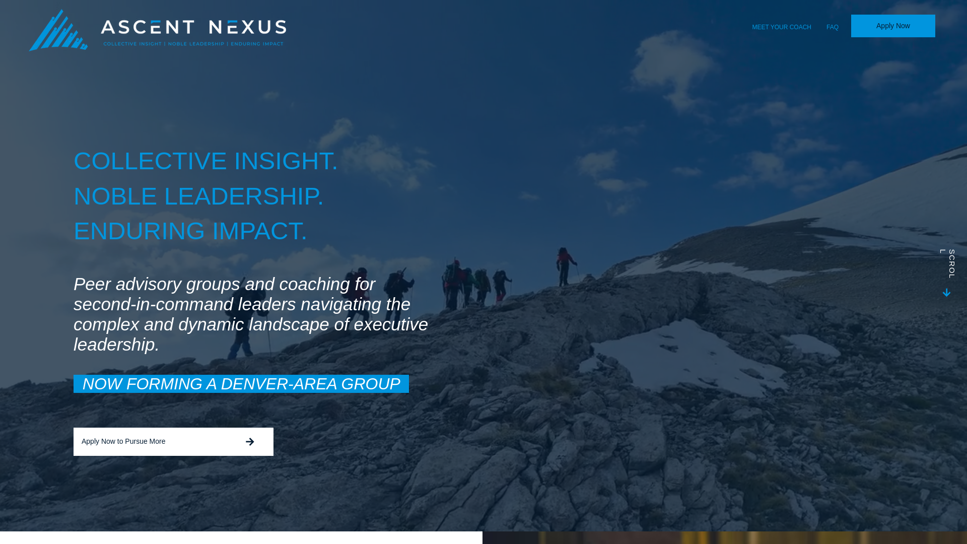 website screenshot of https://ascent-nexus.com/