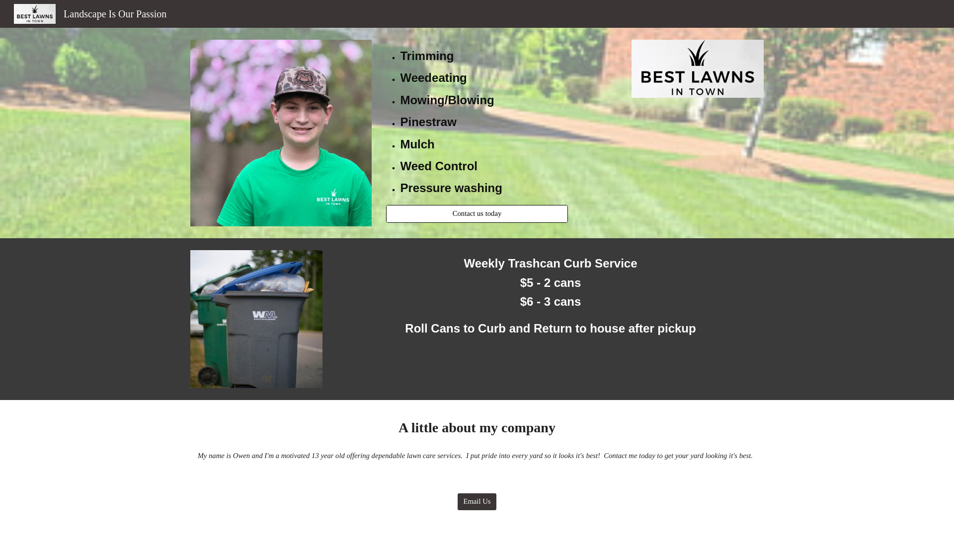 website screenshot of https://bestlawnsintown.com