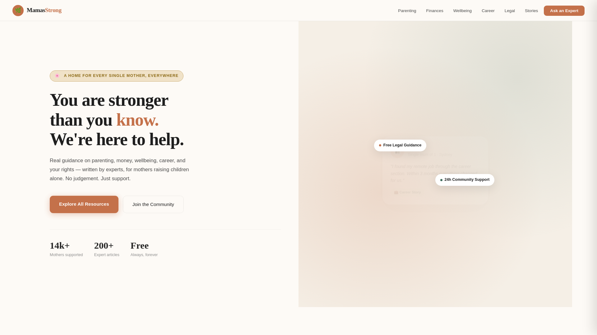 website screenshot of https://mamasstrong.org