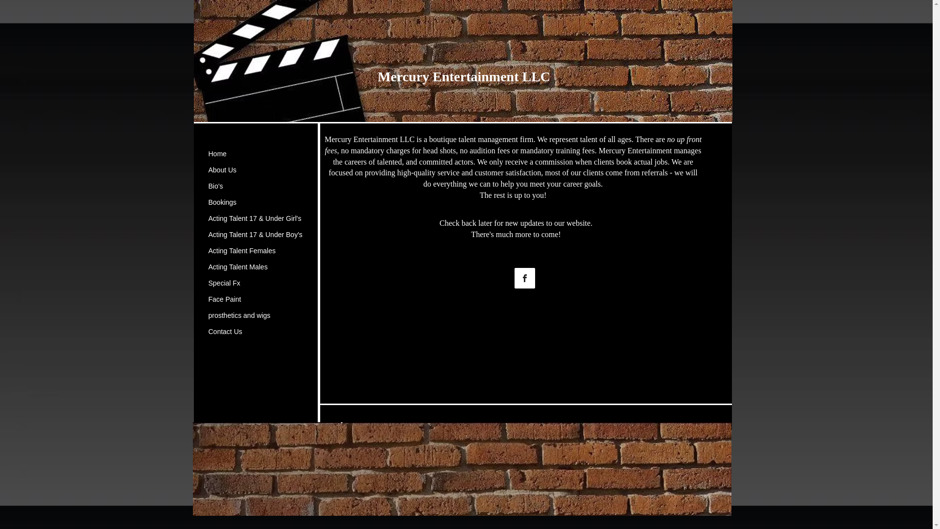 website screenshot of https://mercuryent.biz/