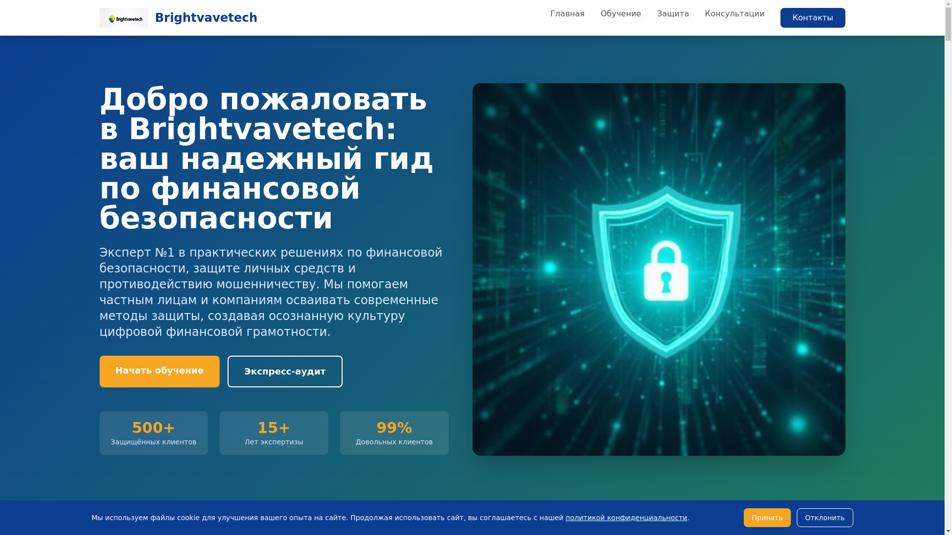 website screenshot of https://brightvavetech.com/