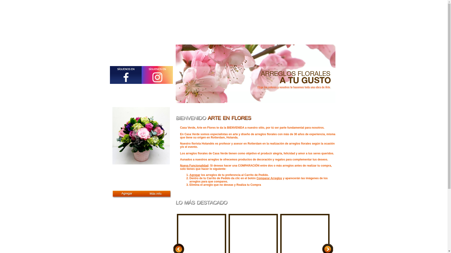 website screenshot of https://artefloralami.pages.dev/