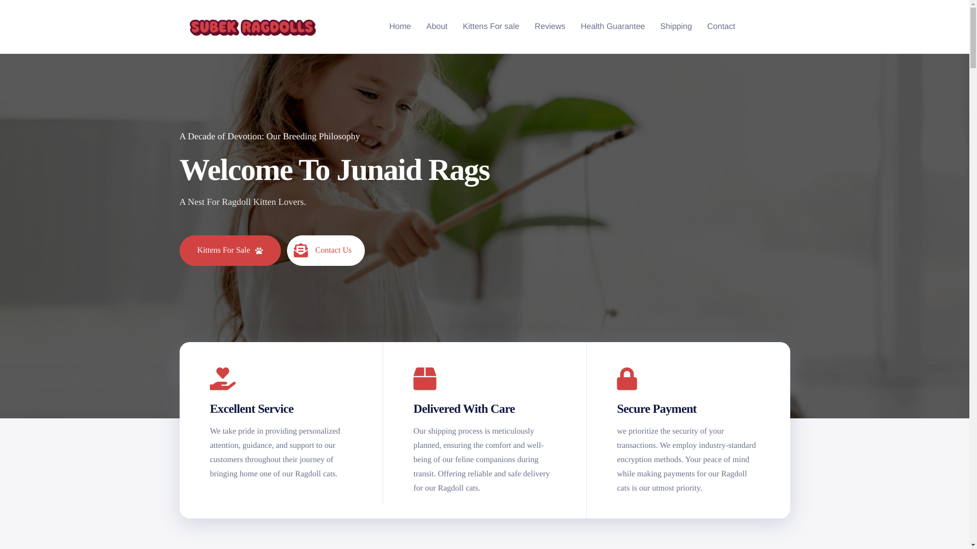 website screenshot of https://subekrags.com/