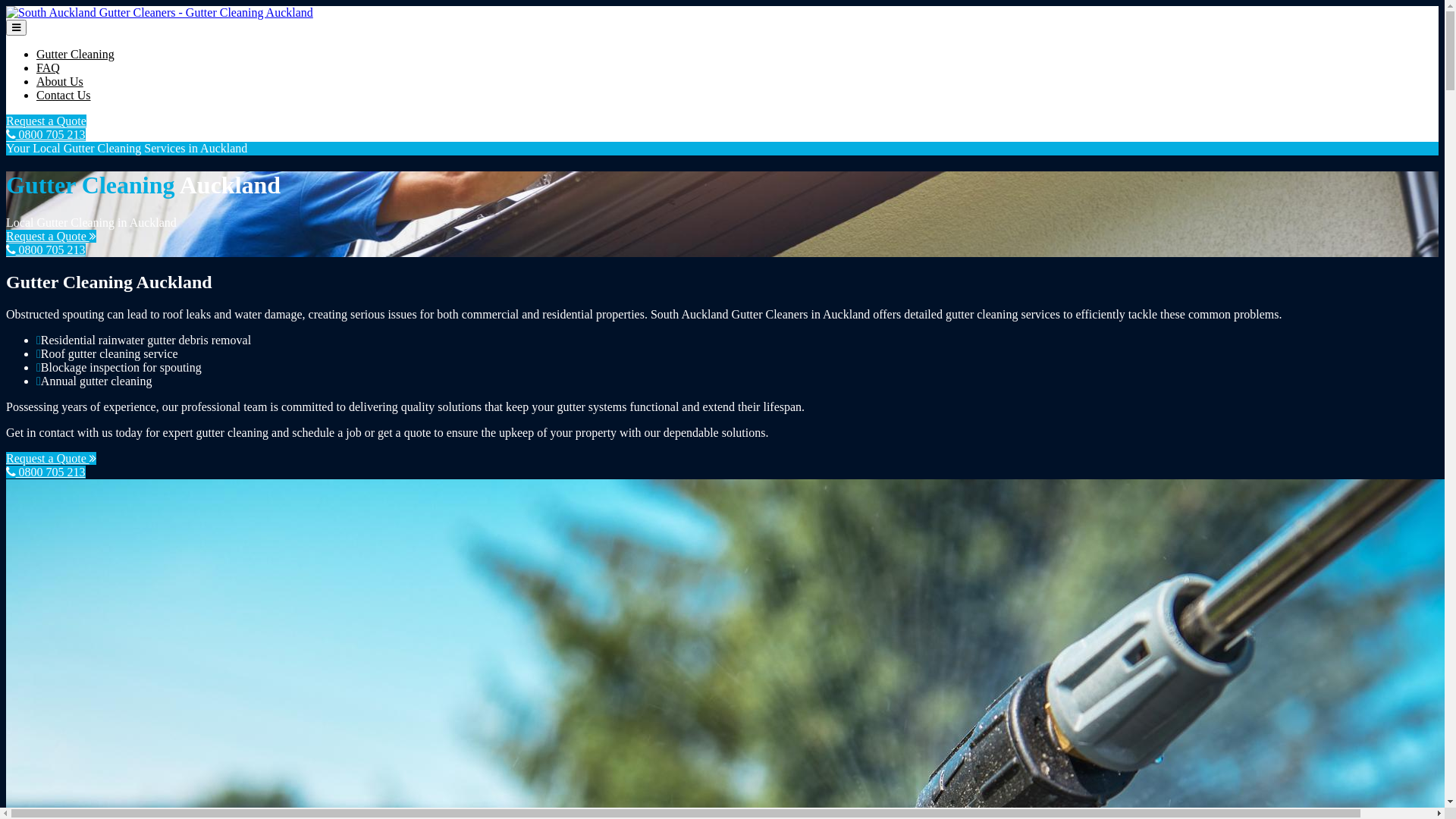 website screenshot of https://southaucklandguttercleaners-co-nz.pages.dev/
