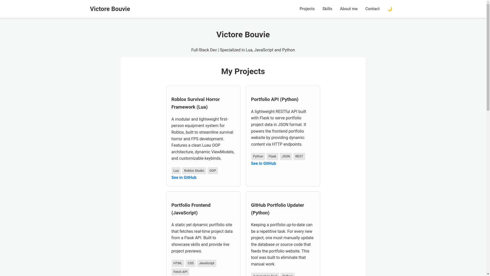 website screenshot of https://victorebouvie.xyz/
