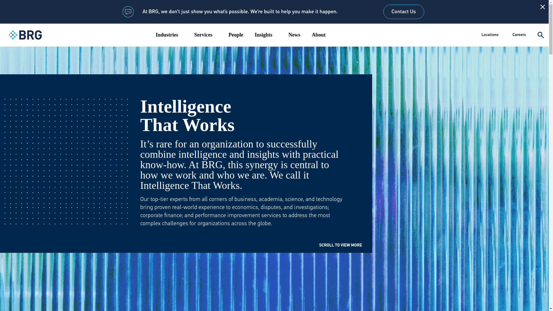 website screenshot of https://thinkbrg.com/