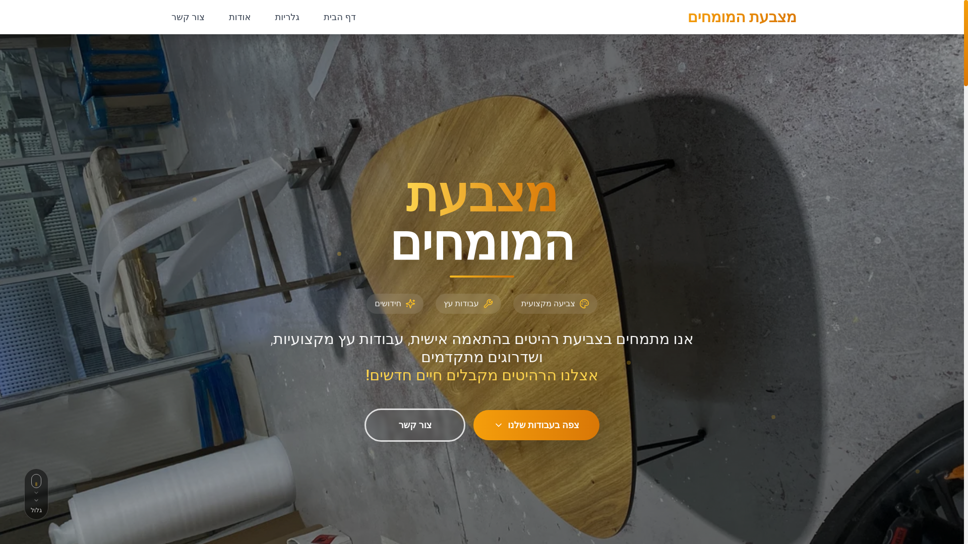 website screenshot of https://theexpertspaintshop.com/