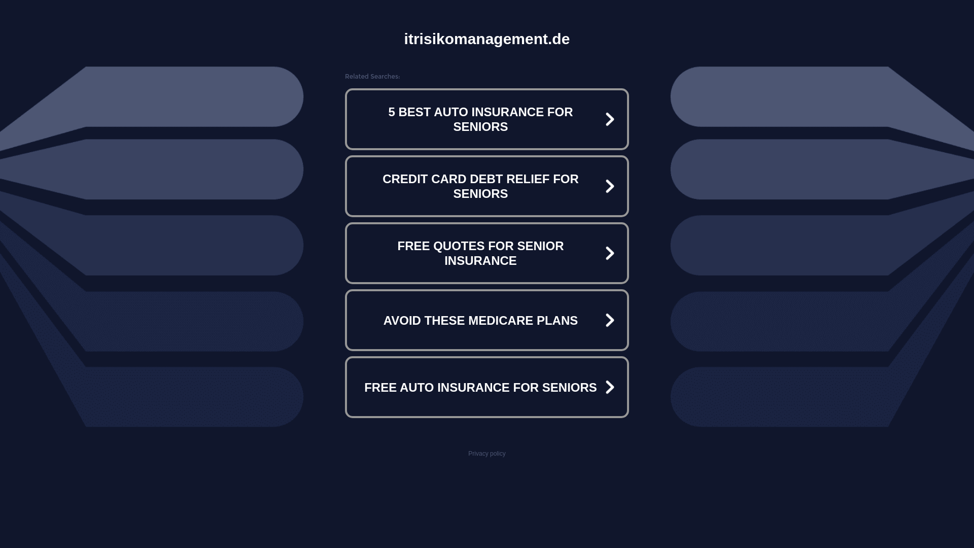 website screenshot of https://itrisikomanagement.de