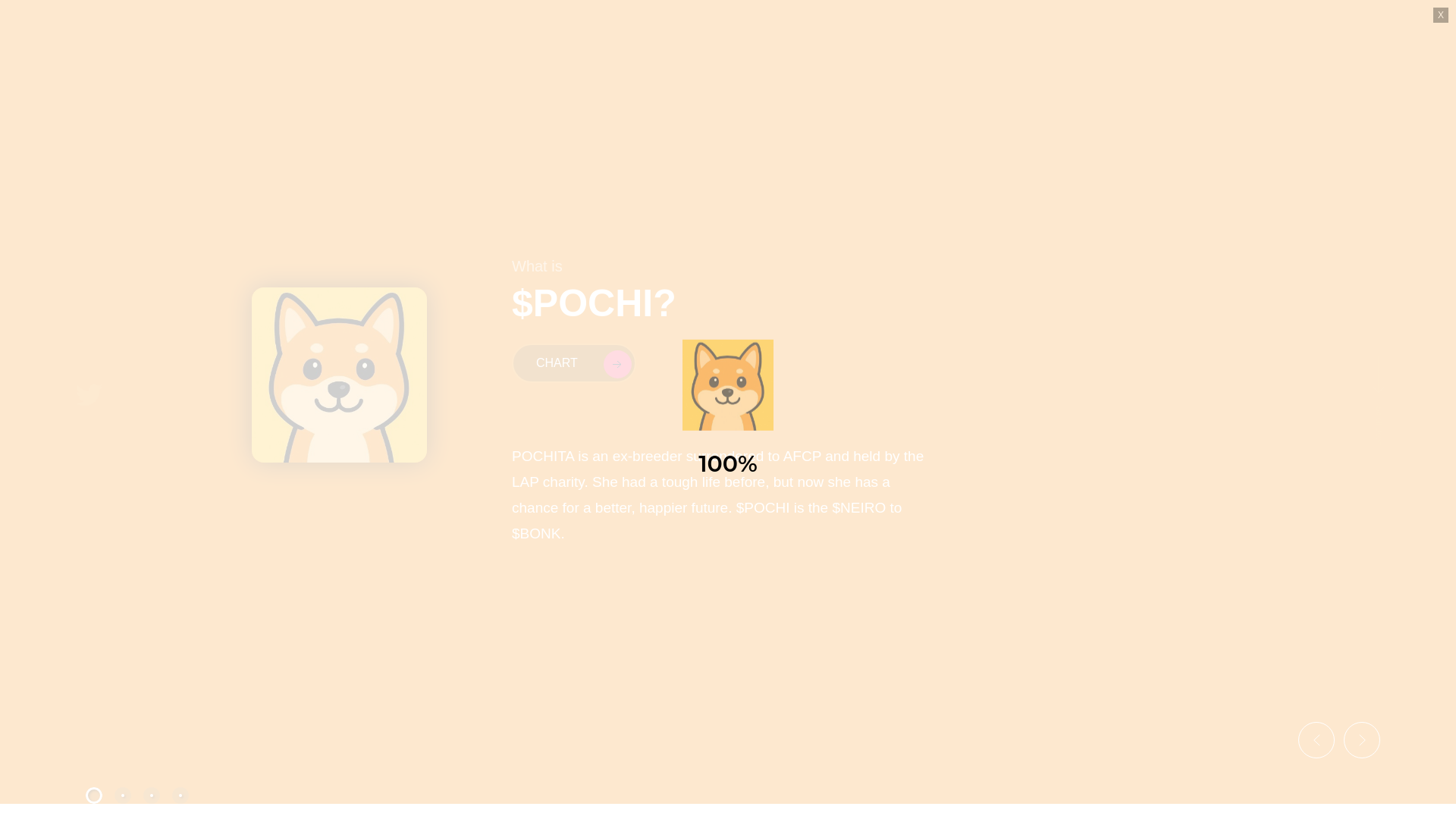 website screenshot of https://pochitabonk.com/