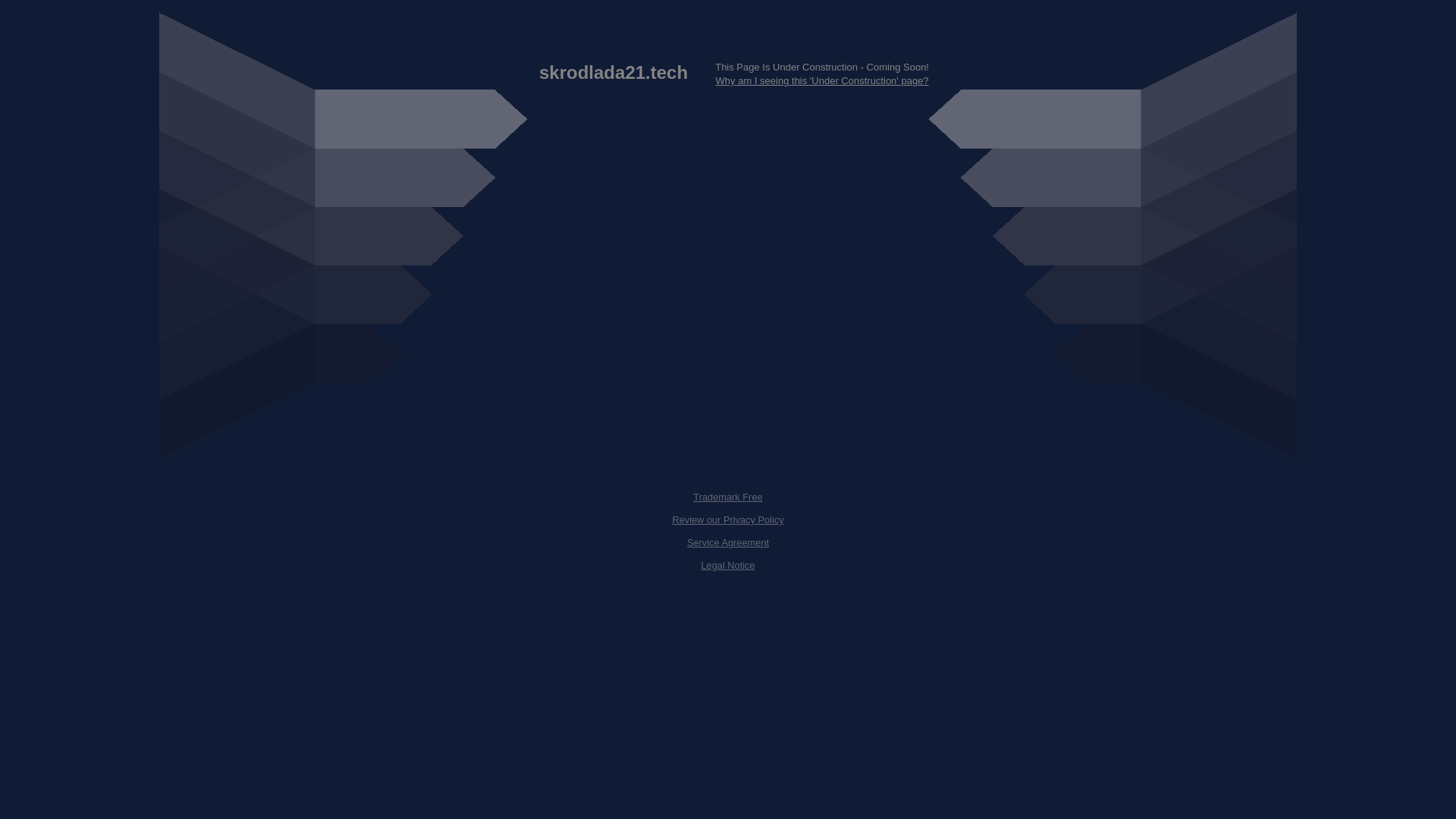 website screenshot of https://skrodlada21.tech/