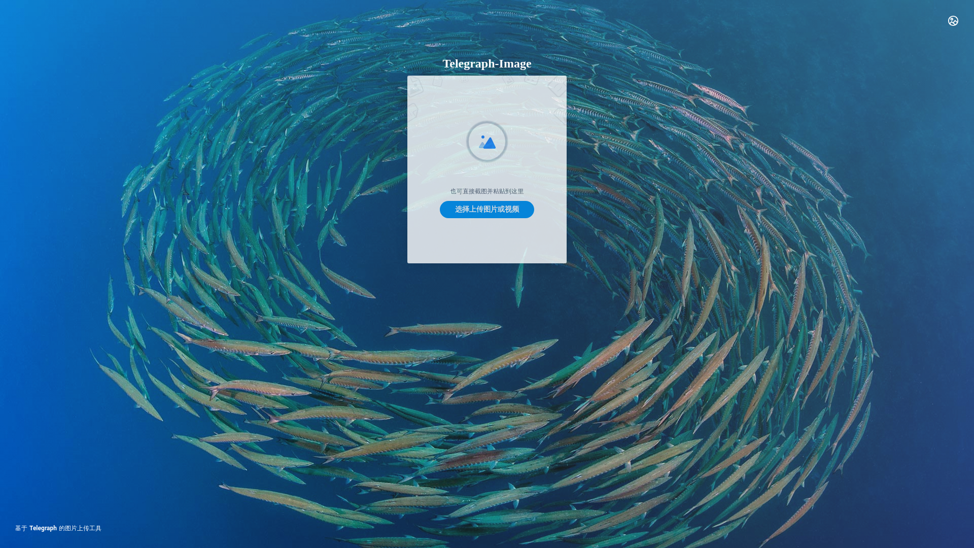 website screenshot of https://telegraph-image-6fd.pages.dev/