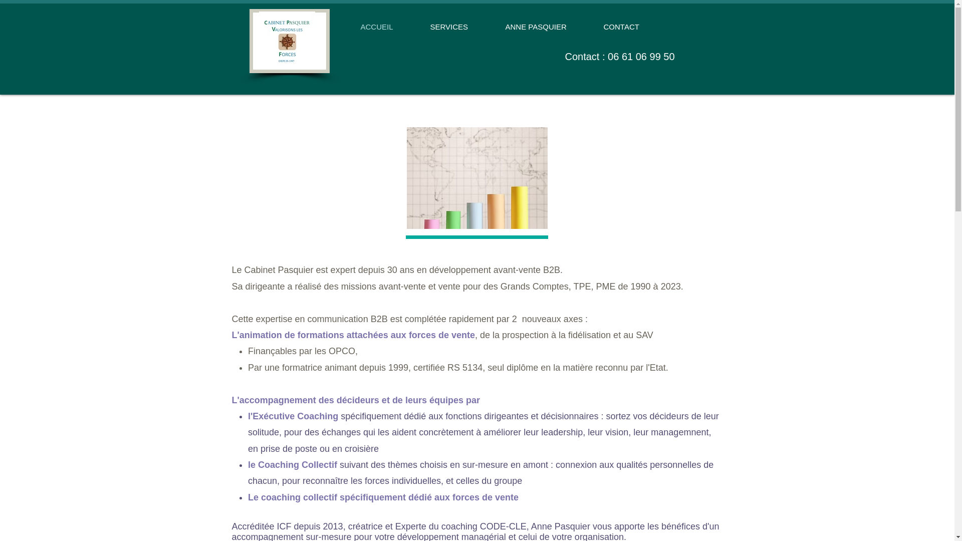 website screenshot of https://annemmapasquier.fr/