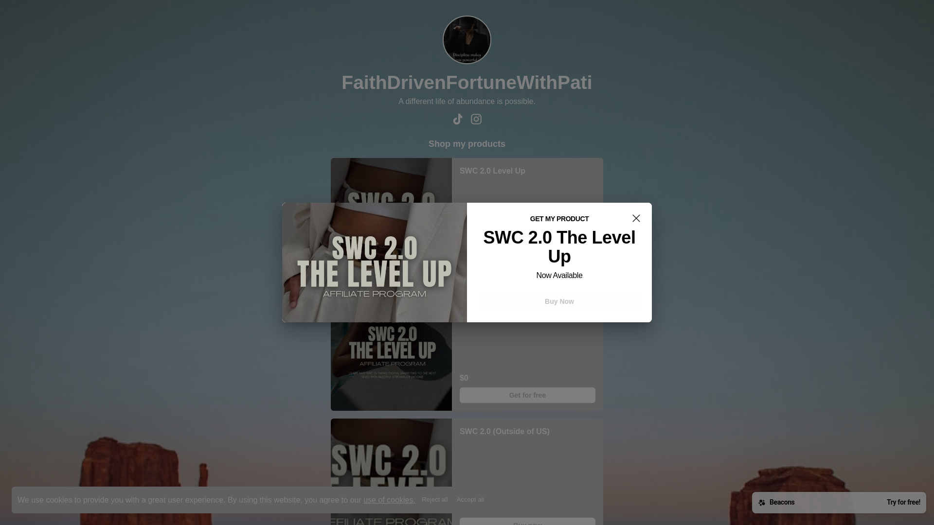 website screenshot of https://faithdrivenfortunewithpati.com/