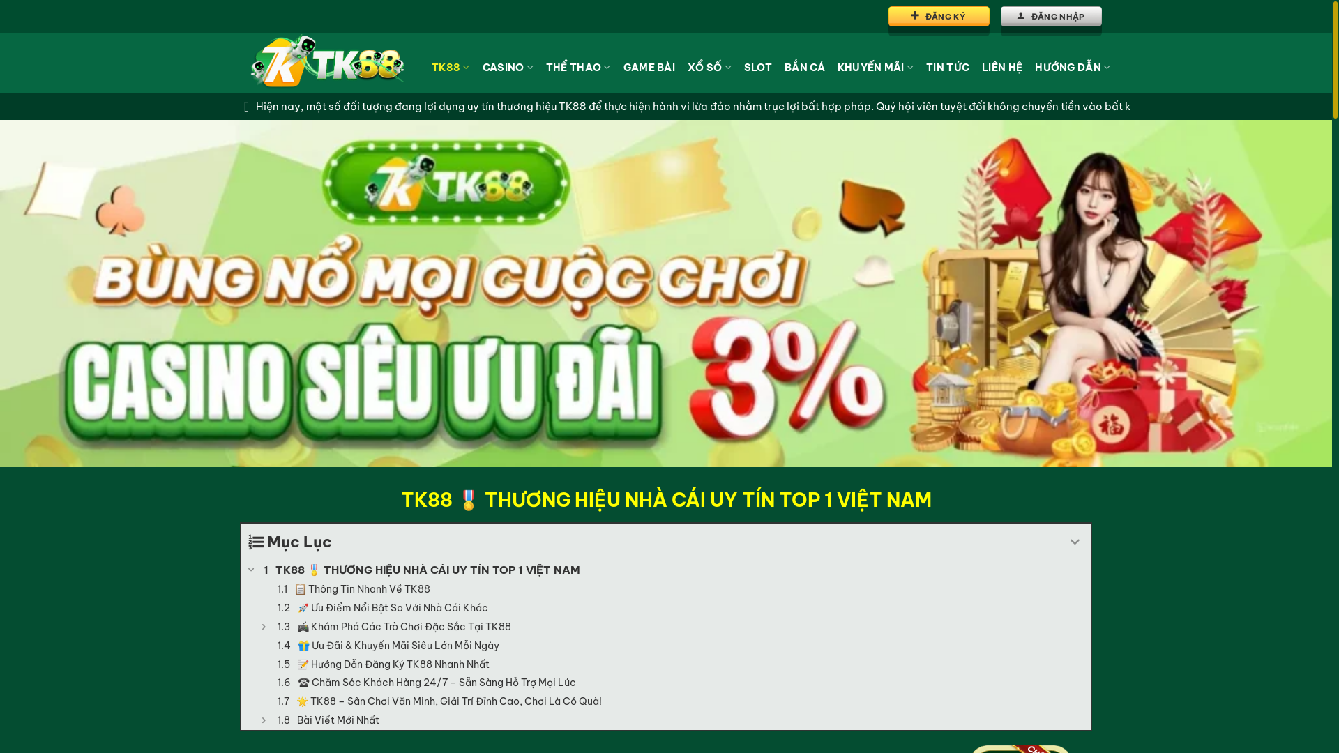 website screenshot of https://tk88.law/