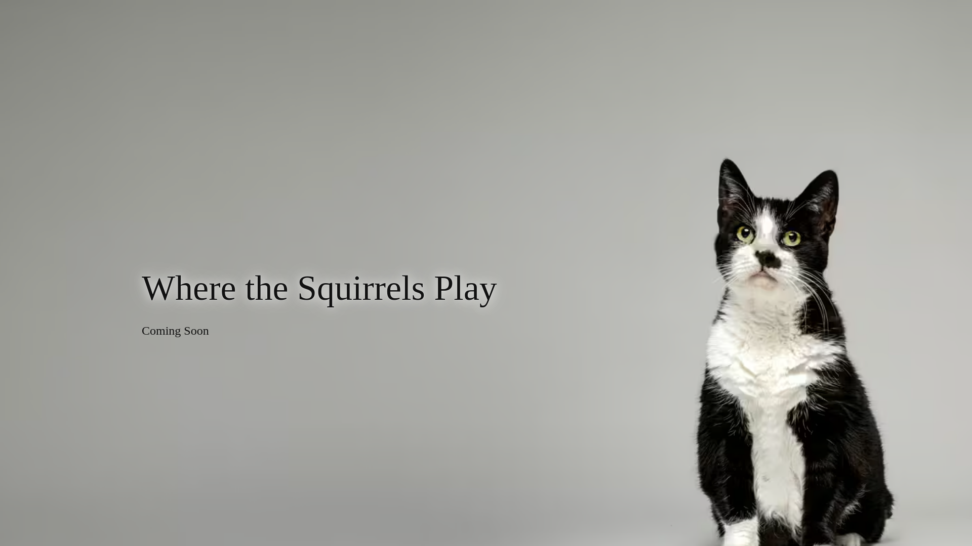 website screenshot of https://wherethesquirrelsplay.com/