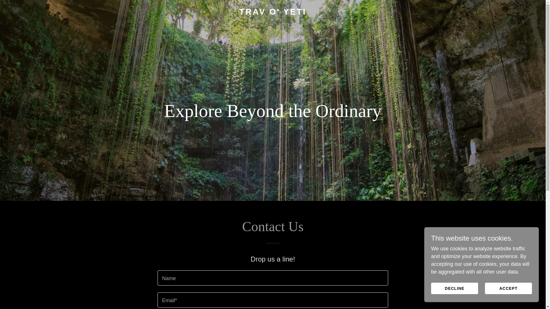 website screenshot of https://travoyeti.com/