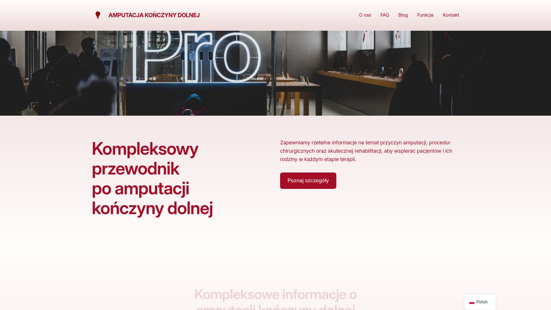 website screenshot of https://protezowaekipa.pl/
