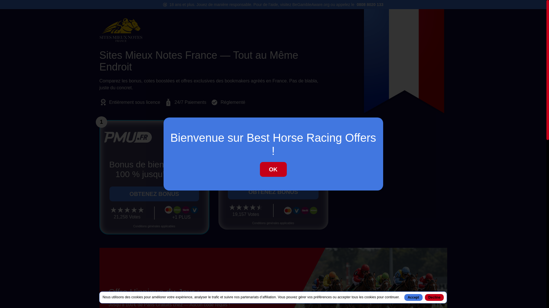 website screenshot of https://sitesmieuxnotesfrance.net/