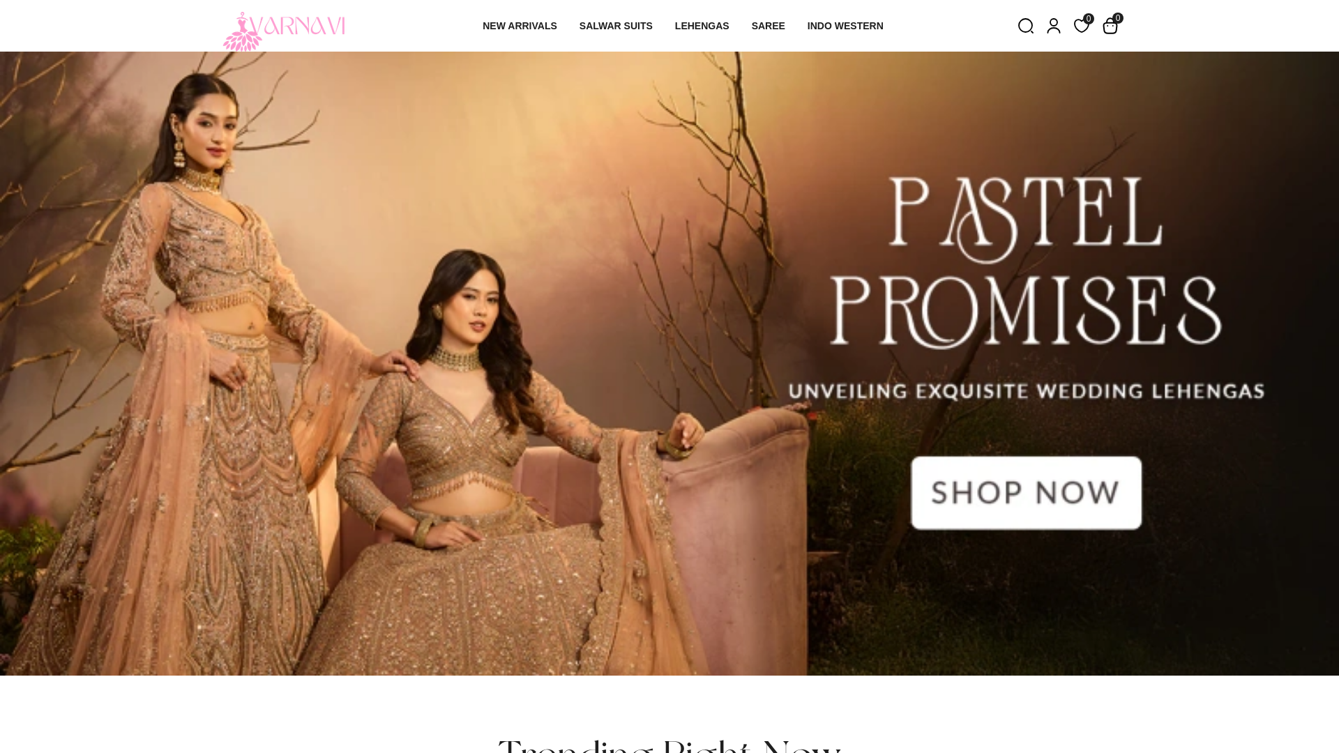 website screenshot of https://varnavi.co.in/