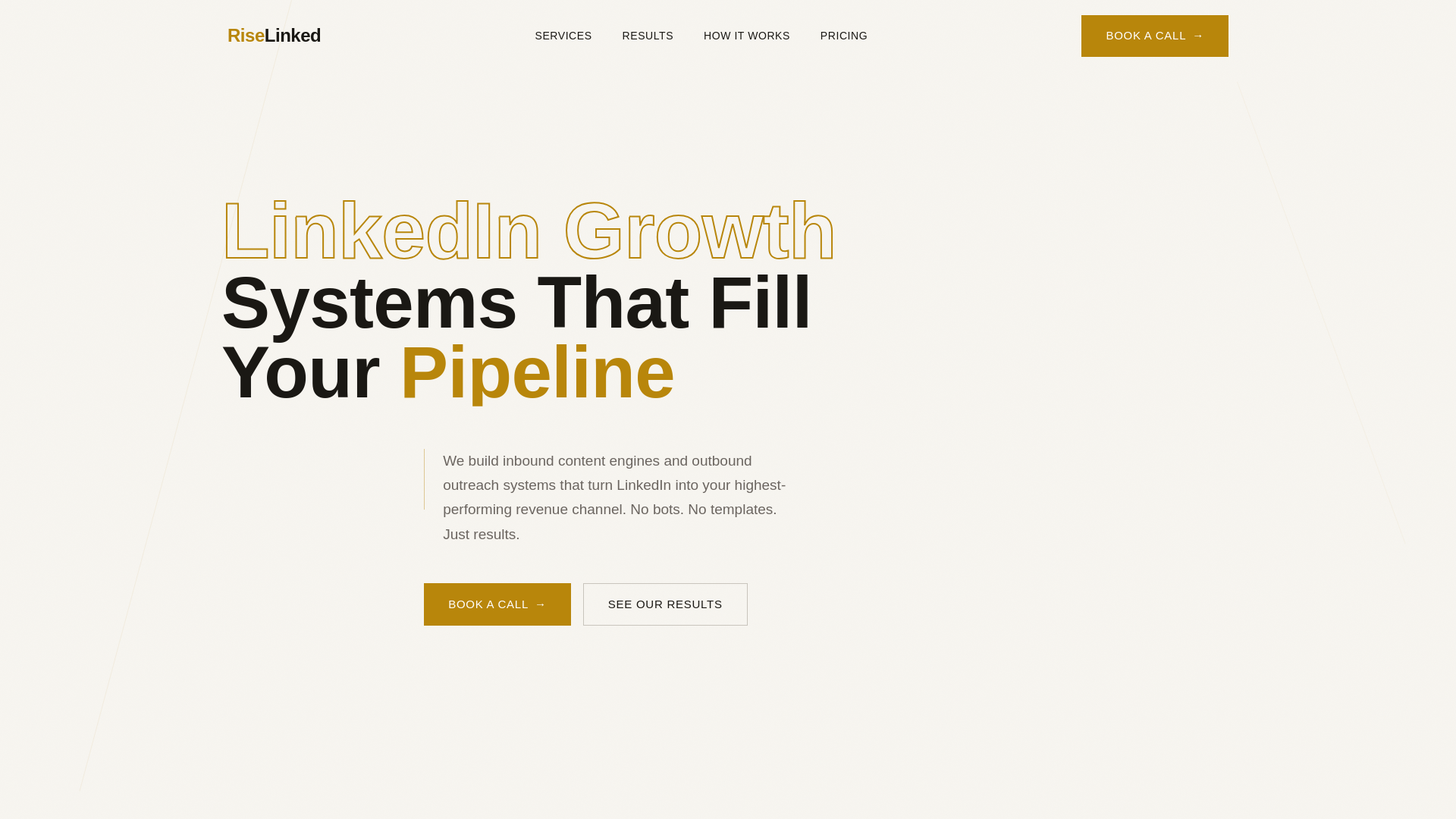 website screenshot of https://riselinked.com/
