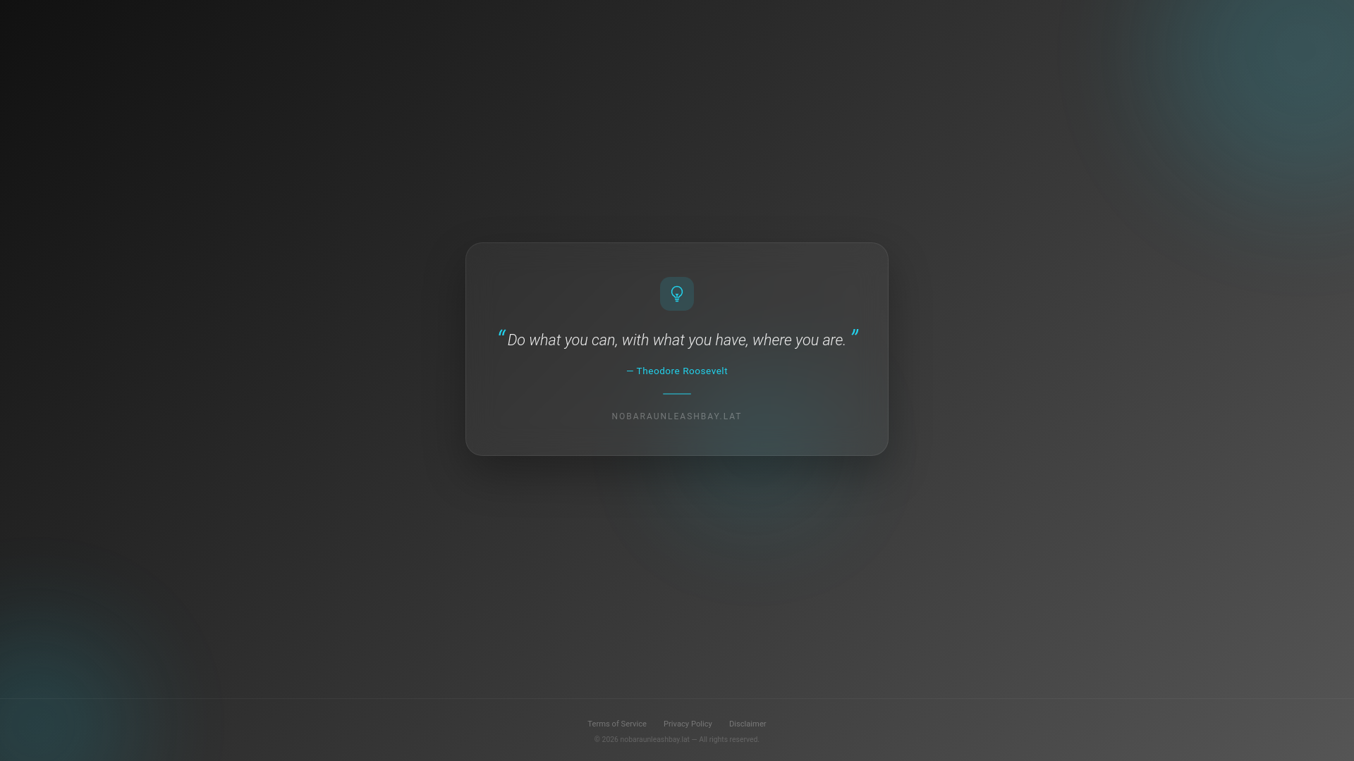 website screenshot of https://nobaraunleashbay.lat/