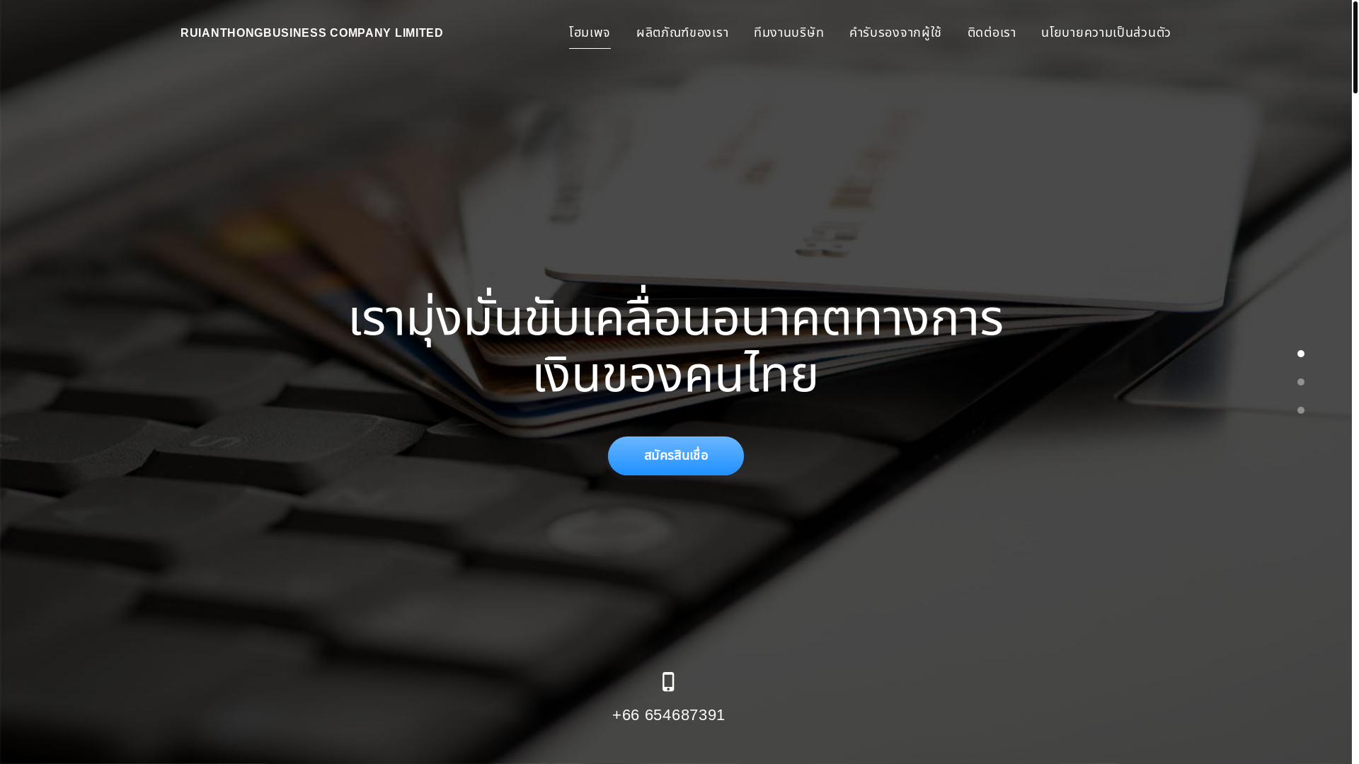 website screenshot of https://www-ruianthongbusinesscompany-com.pages.dev/