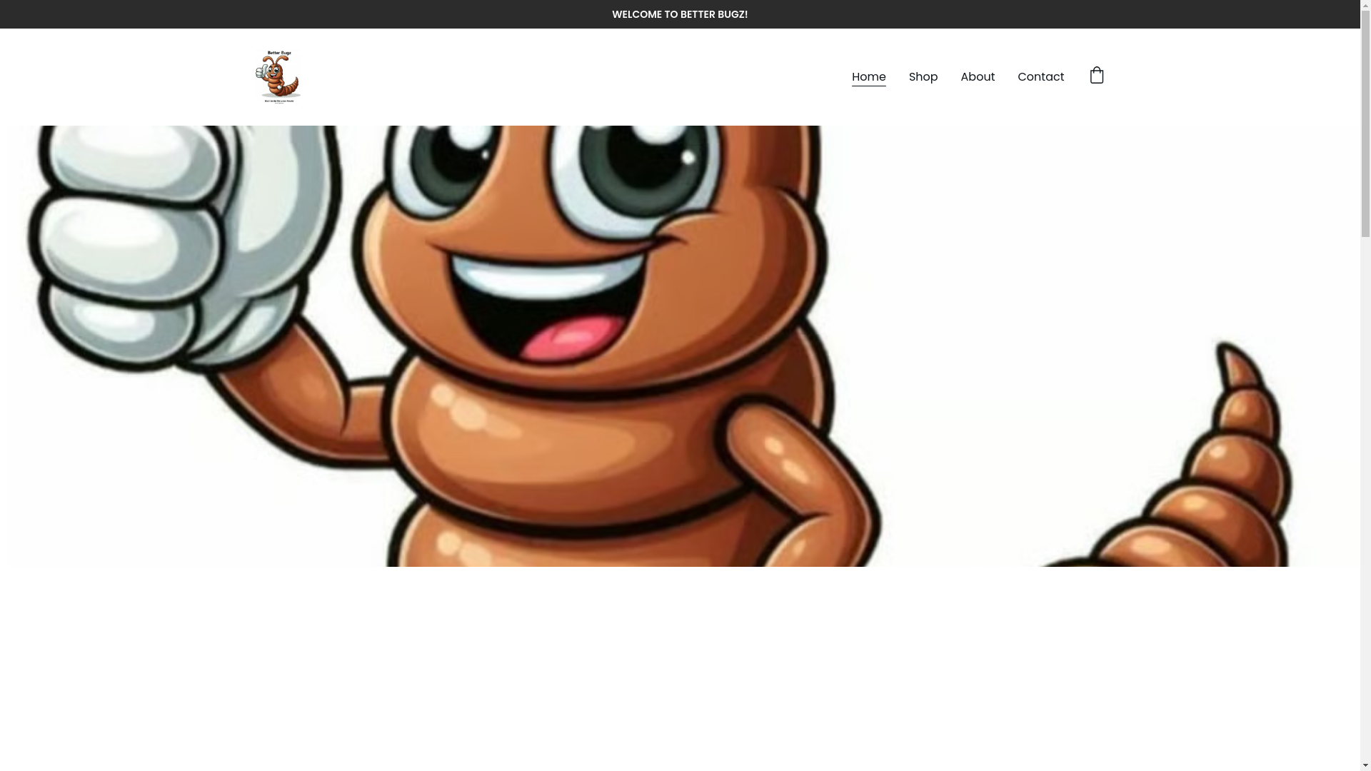 website screenshot of https://betterbugz.com/