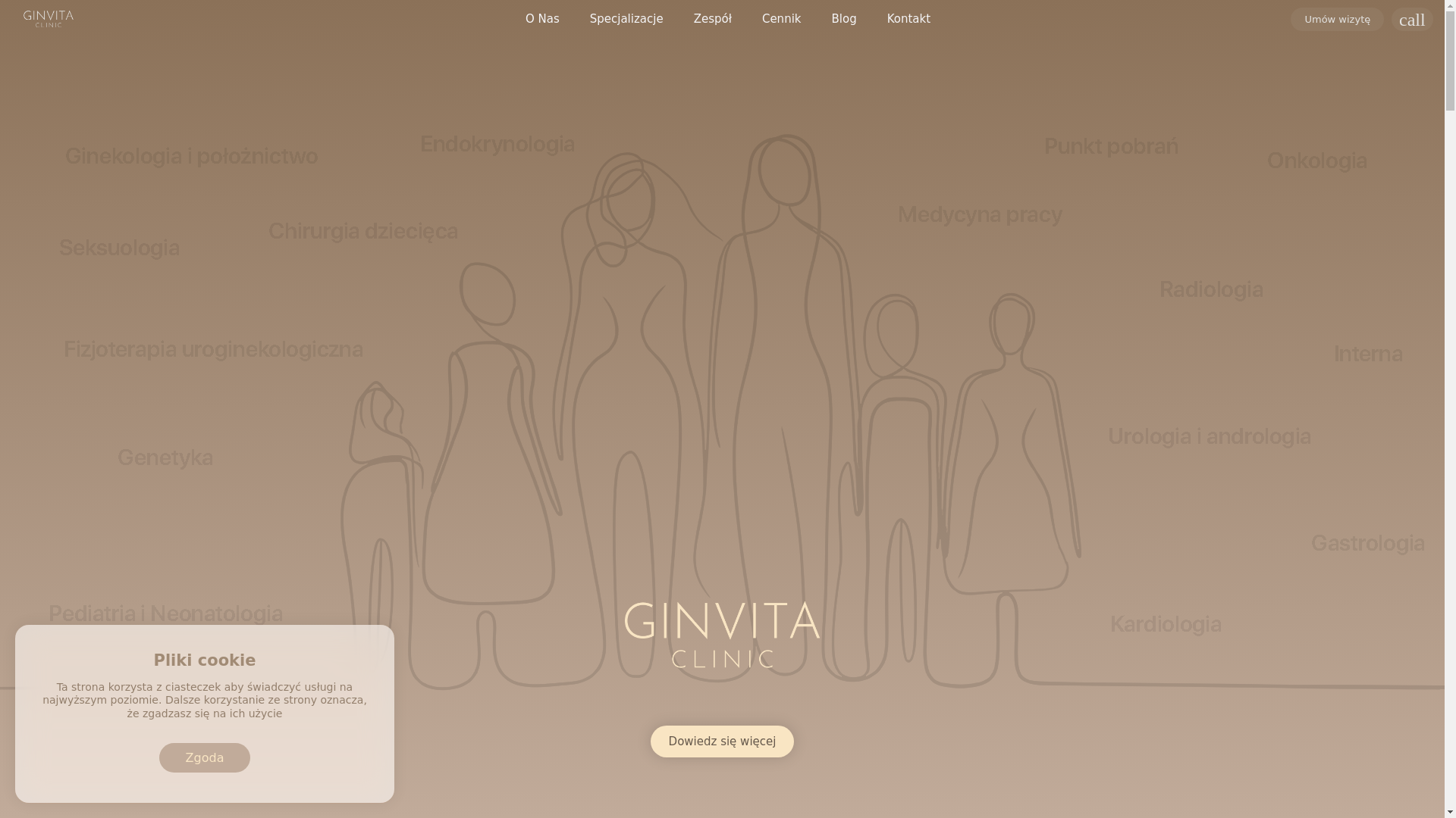website screenshot of https://gv-nowa-szata-graficzna.pages.dev/